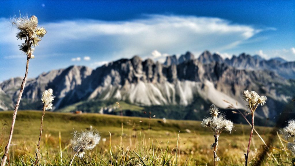 3 Gipfel Trailrun auf der Plose im Eisacktal